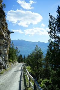 Weg zur Alp Champatsch