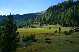 Alp Champatsch mit Restaurant La Posa